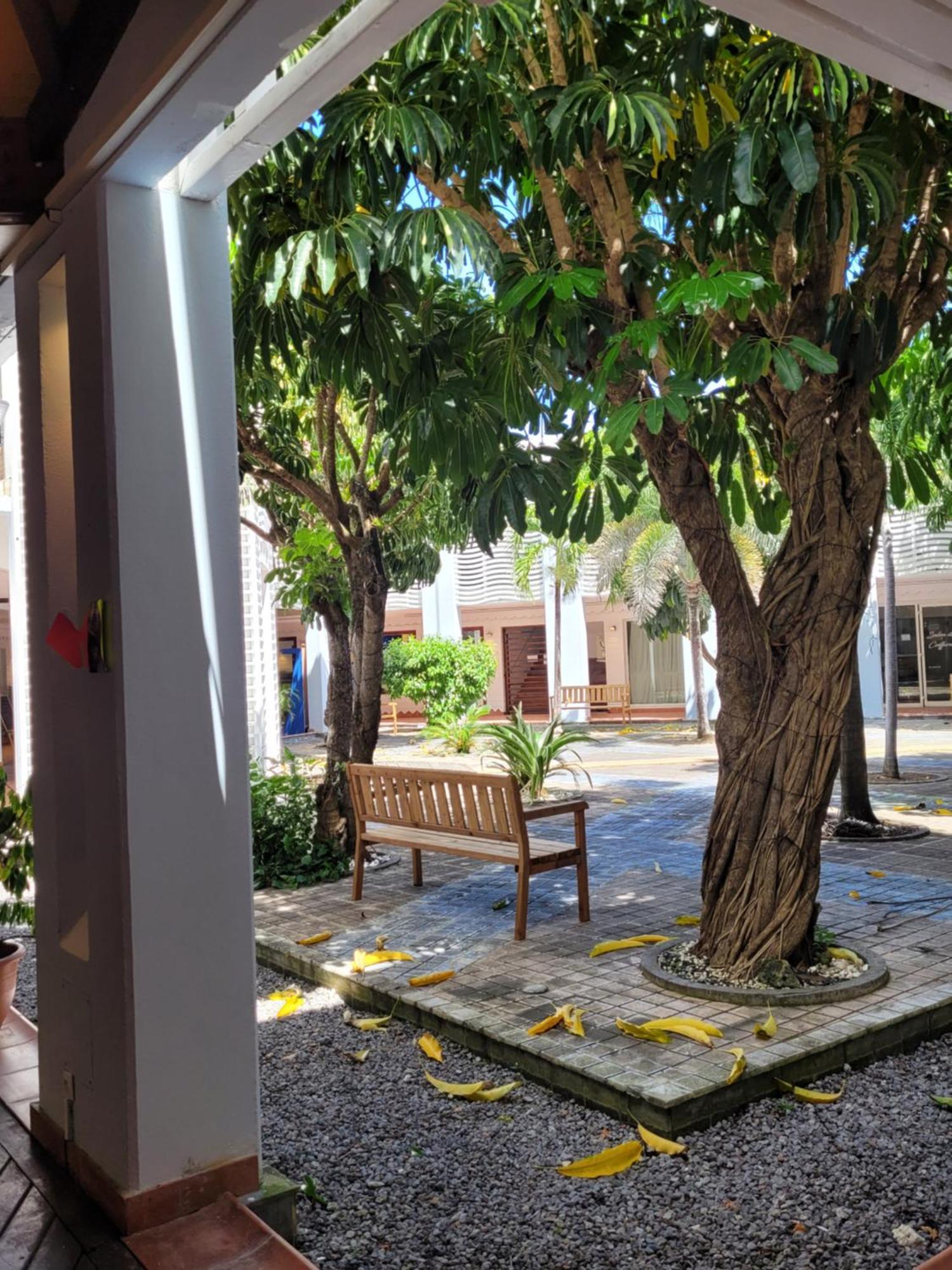 Studio Bleu Sable سانت فرانسوا المظهر الخارجي الصورة